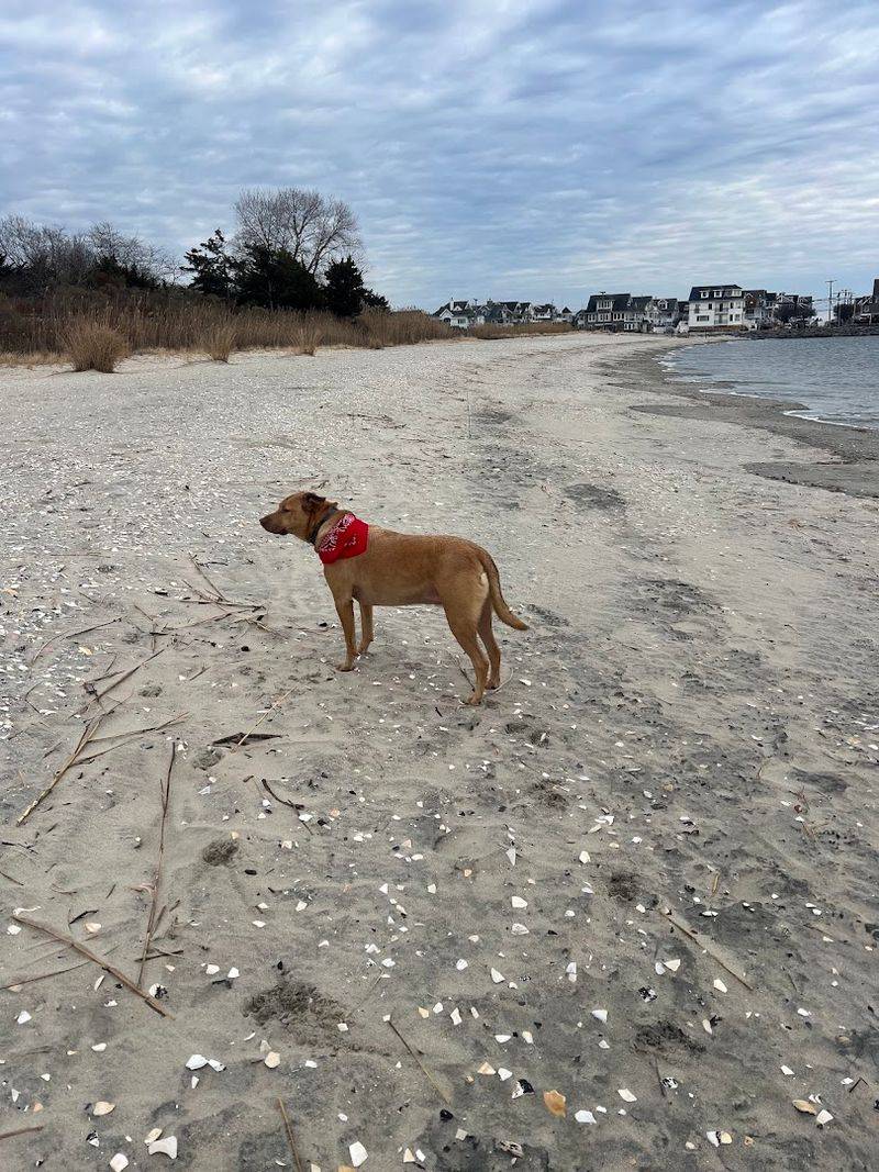 Fisherman's Cove Conservation Area, Manasquan, NJ