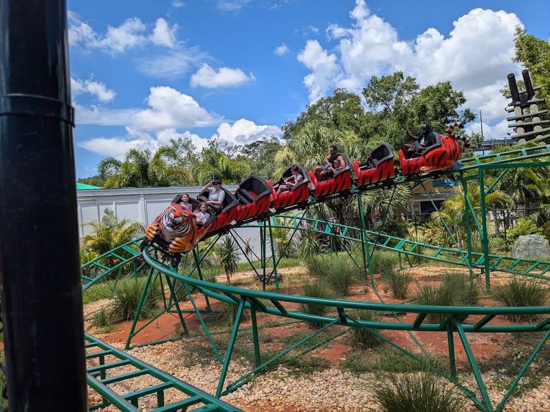 Rides and Play Areas: Not Just for the Littlest Visitors