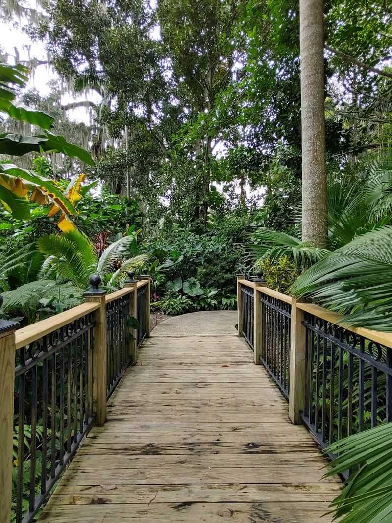 Leu Gardens (Orlando, Florida)