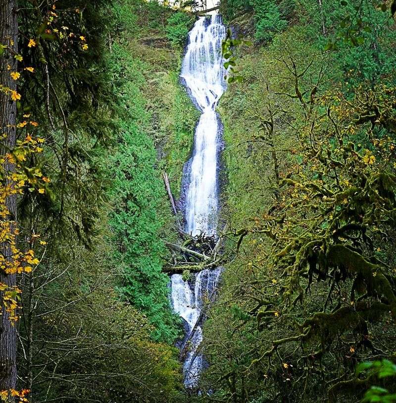 Munson Creek Falls - Tillamook Area