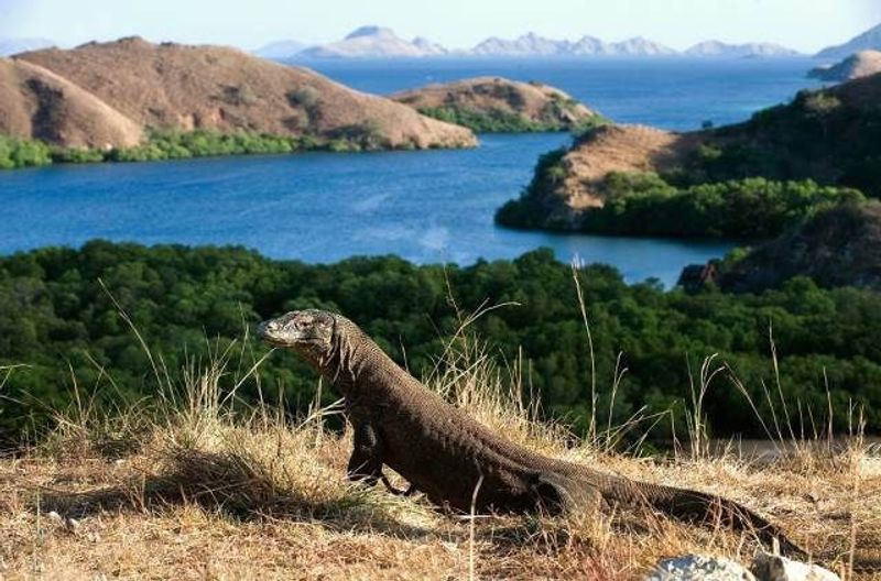 Komodo National Park, Indonesia