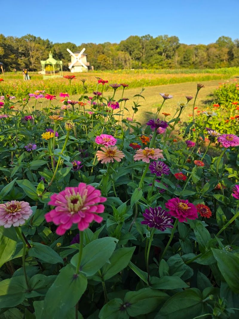 Liberty Grace Farms — Tennessee (Middle TN)