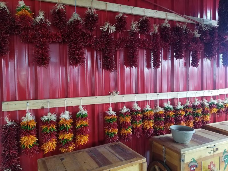 Hatch, New Mexico - Hatch Chile Festival