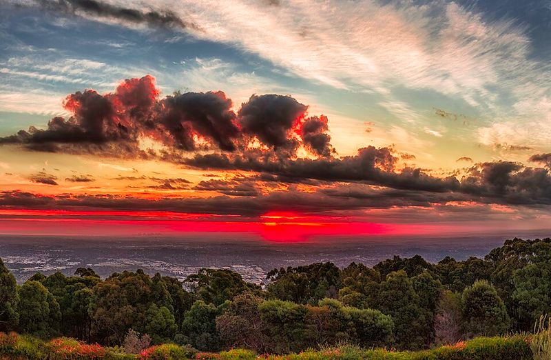 Mount Dandenong, Australia – Forest Hideaways