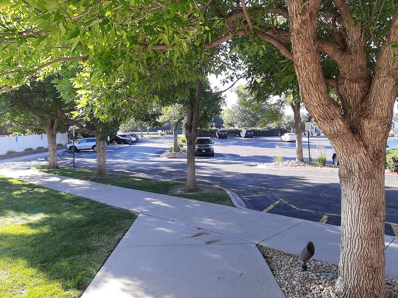 Maryland: St. Michaels