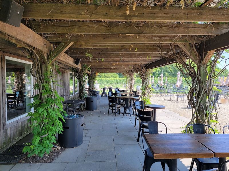 The Atmosphere That Keeps People Returning