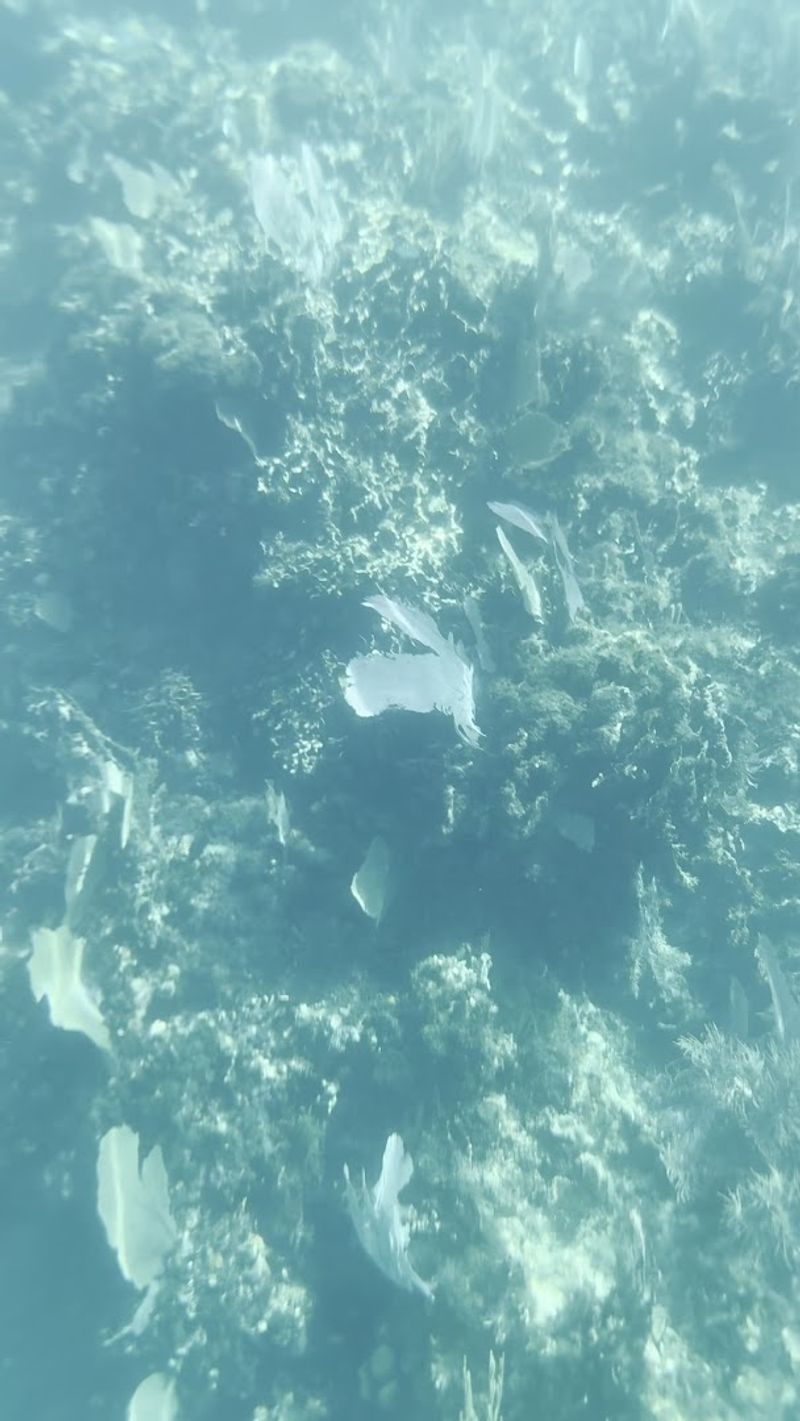 Belize Barrier Reef – Belize