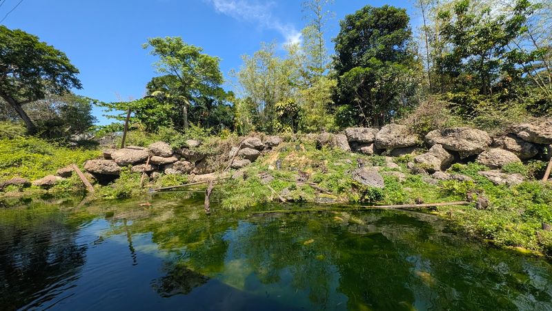 The 10,000-Year-Old Fossil Display