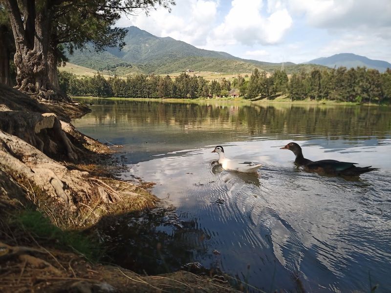 San Andrés Huayápam, Oaxaca