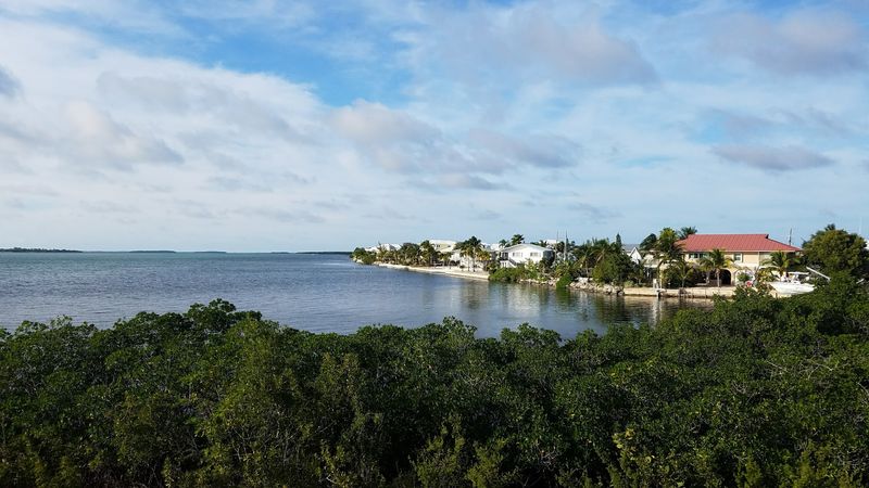 Big Pine Key (Lower Keys)
