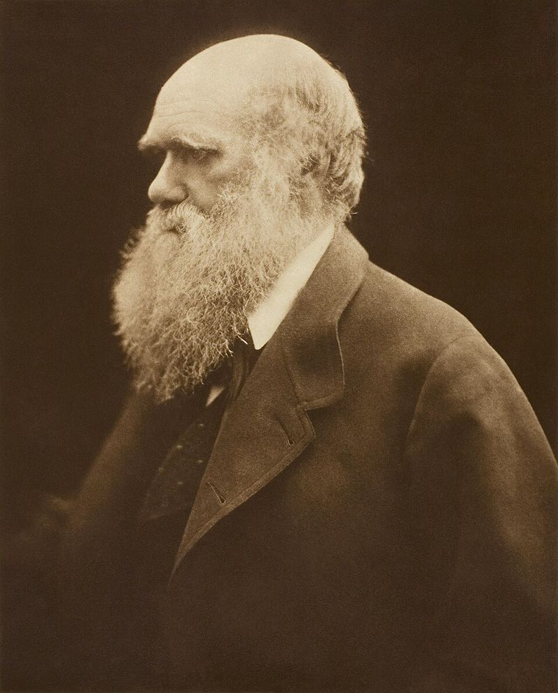 Charles Darwin – Collecting Beetles