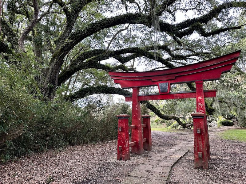 Jungle Gardens - Avery Island, Louisiana
