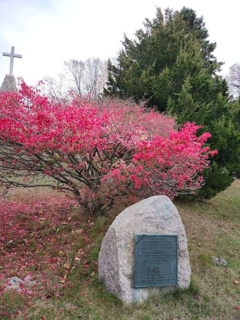 A Story Entwined With Indigenous Communities