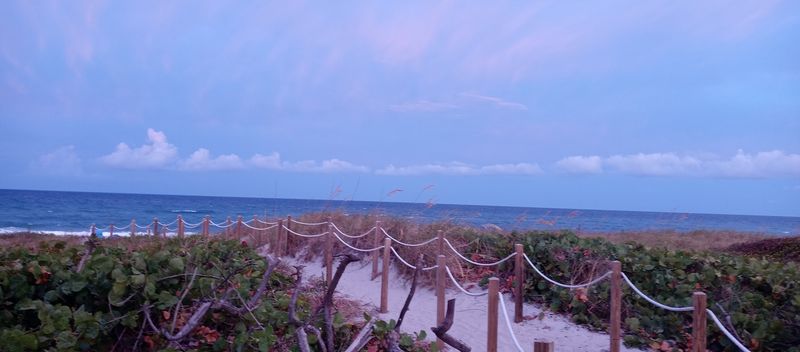 The Climate: Warm Winters and Sunshine That Feels Personal