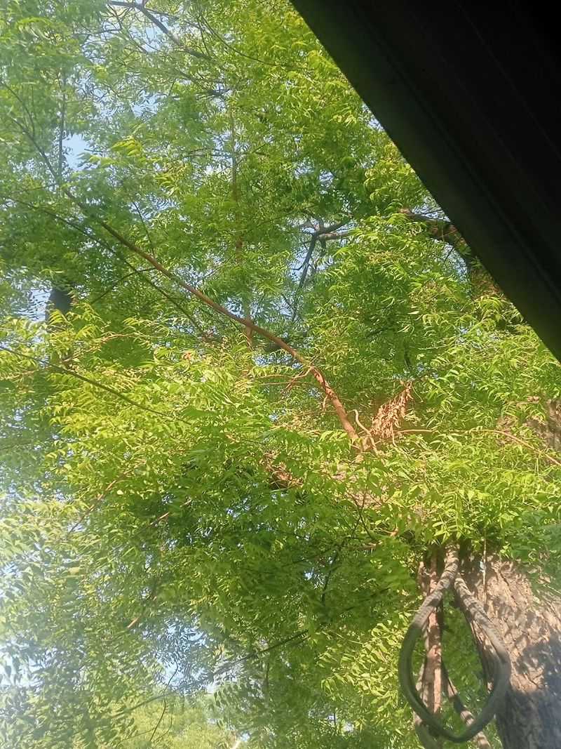 Amazon Rainforest, South America