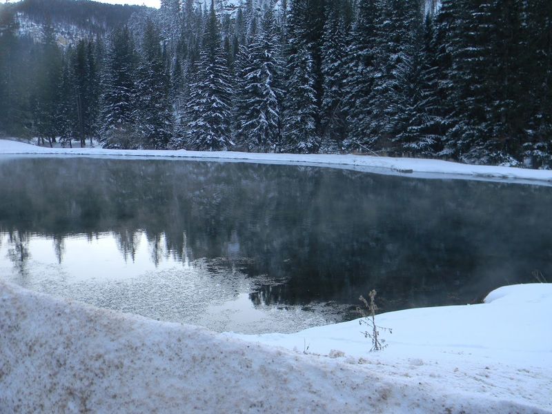 Black Hills (South Dakota)