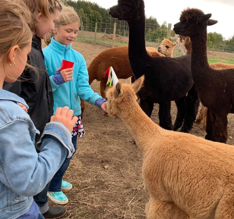 The Farm Tour That Is Worth Far More Than Five Dollars