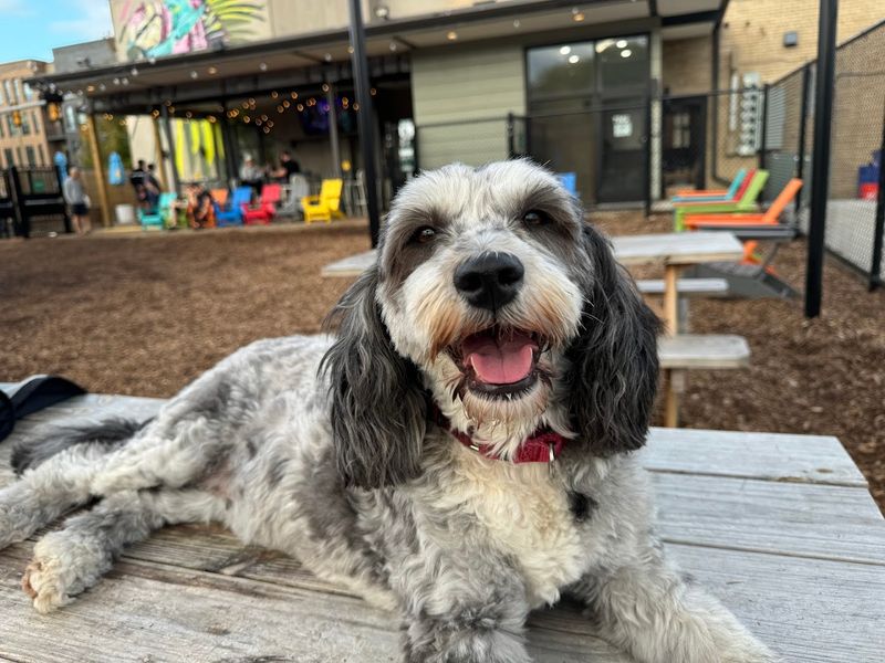 Safety Rules That Make the Whole Thing Work