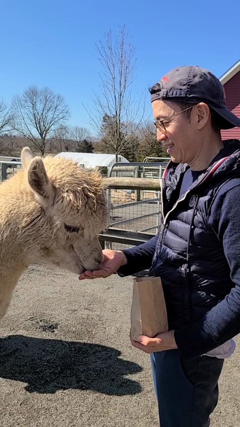 Feeding Time and What Comes With Your Ticket