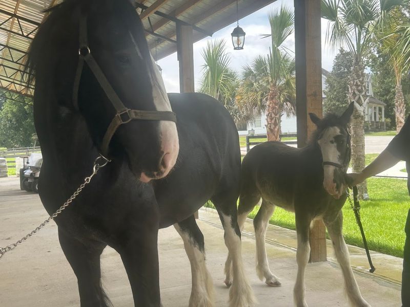 The VIP Experience and Why It Is Worth It