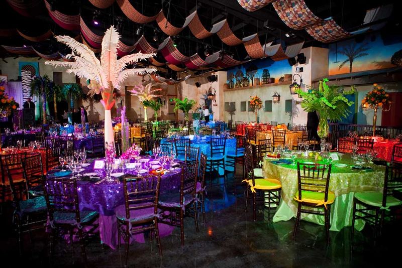 Staff and Atmosphere: The Human Side of a Great Zoo