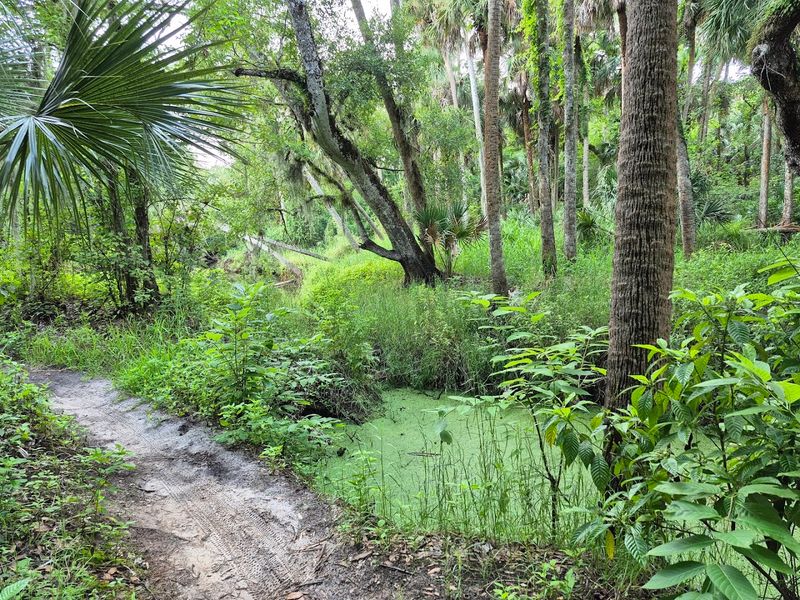 A Sanctuary With Deep Local Roots