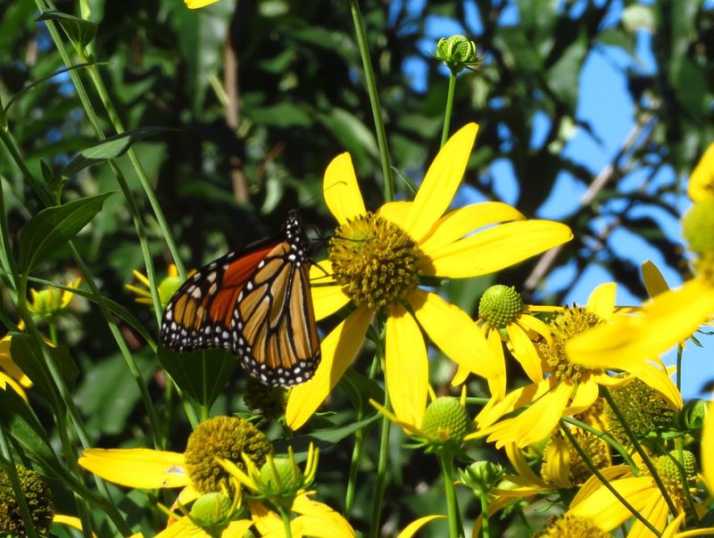 The Creek That Completes the Scene