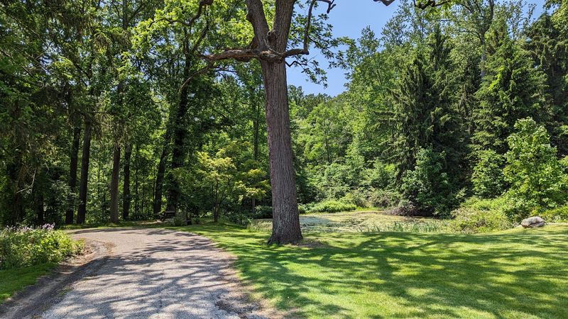 The Grounds and the Philosophy of Natural Setting