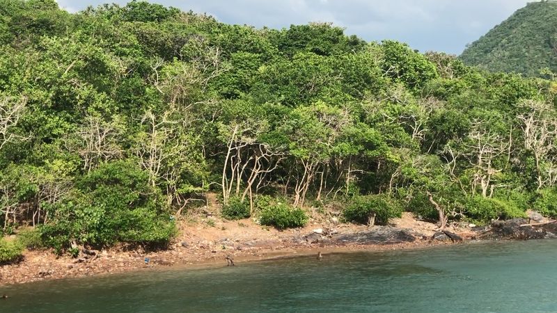 Thailand (Jungles and Islands)