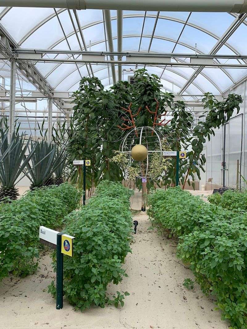 The Behind-the-Scenes Greenhouse Tour