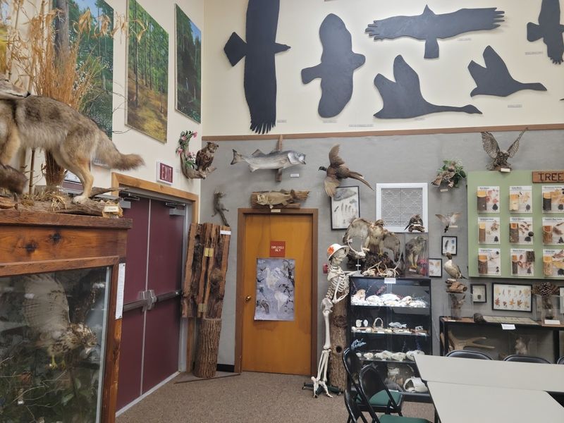 The Nature Center and the Free Bike Barn