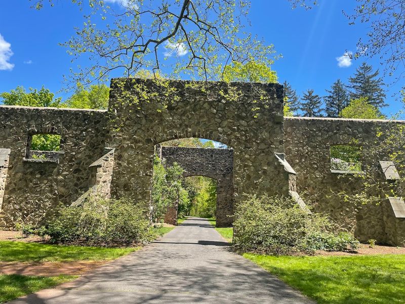 Biking the Estate: A Two-Wheeled Way to See It All