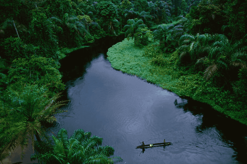 Salonga National Park (DR Congo)