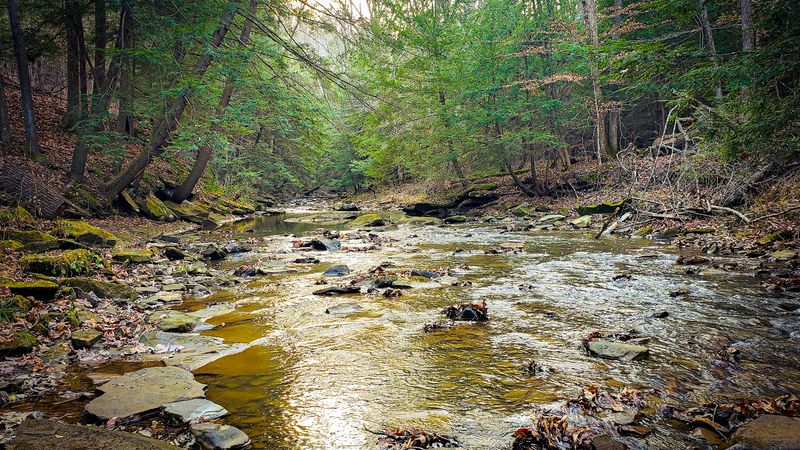 Shawnee State Park - West Portsmouth