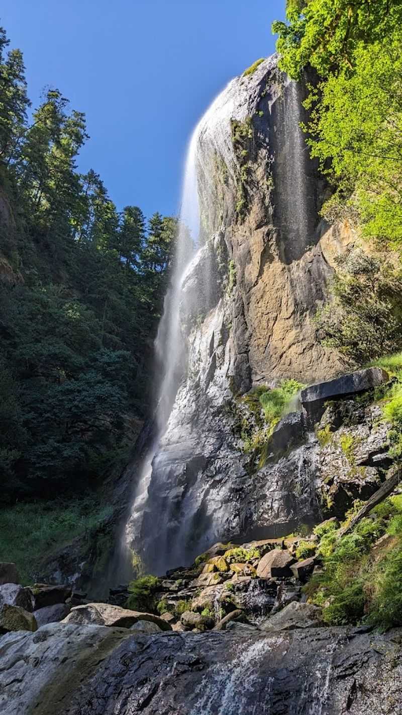 Golden Falls - Coos County
