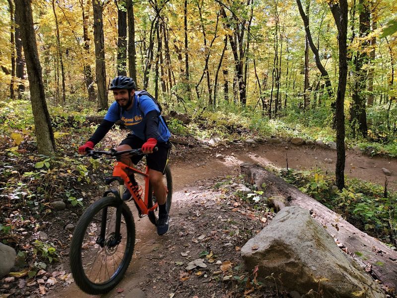 Built for Every Rider: The Skill Level Breakdown