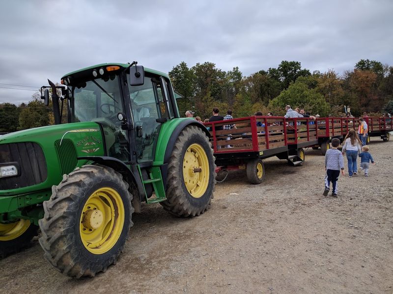 The Hayride That Makes the Trip Complete