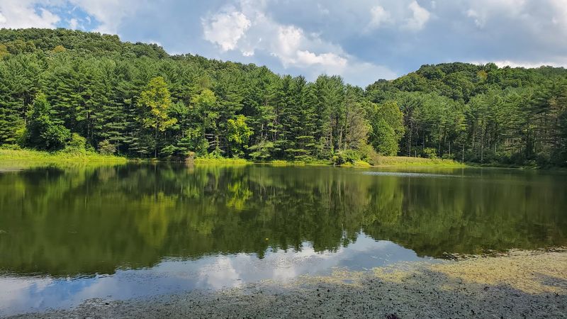 Lamping Homestead Campground — Wayne National Forest
