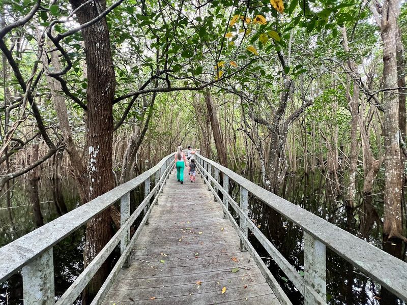 Secret Woods Nature Center - Dania Beach