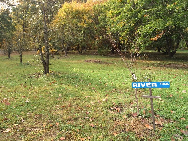 Pet-Friendly and Family-Friendly in Ways That Actually Matter