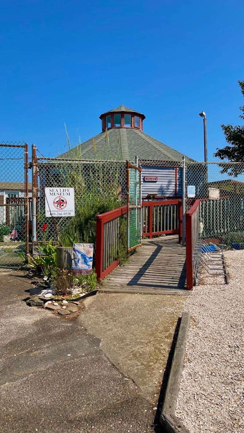 Where the Mission Begins: Address, Location, and What to Expect Before You Arrive