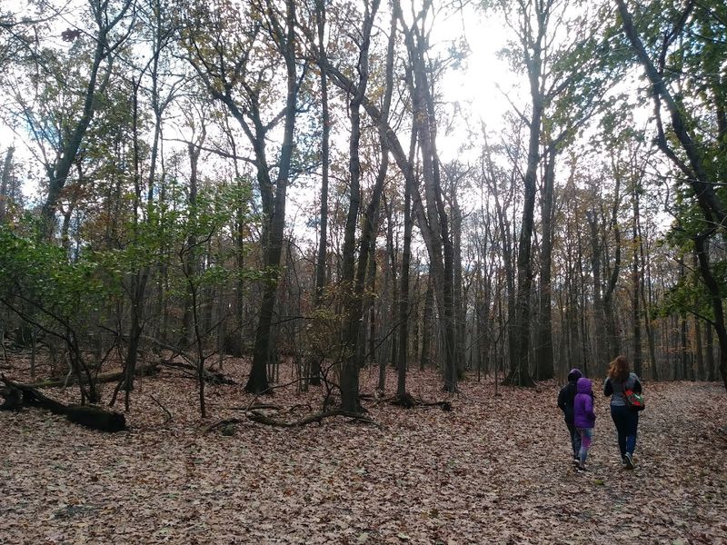 Families With Young Kids Actually Love This Place