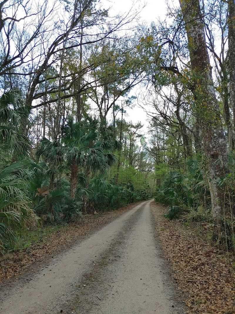 Trail Conditions and What to Expect Underfoot