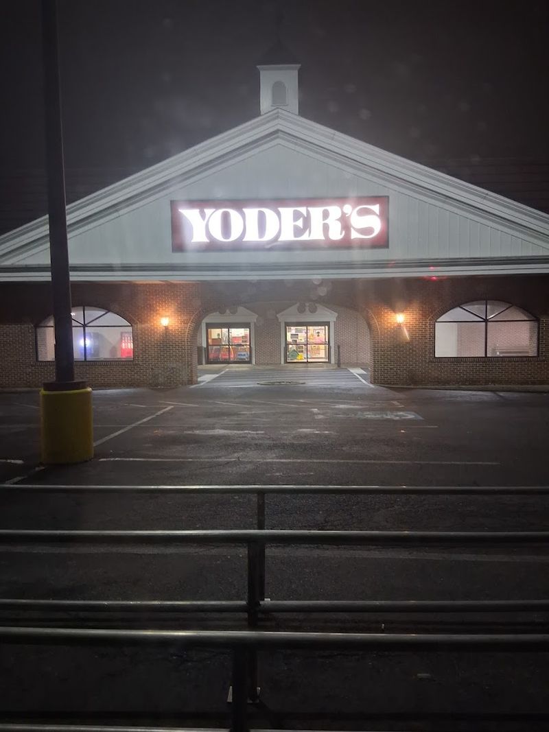 Visiting Hours, Pricing, and Practical Tips