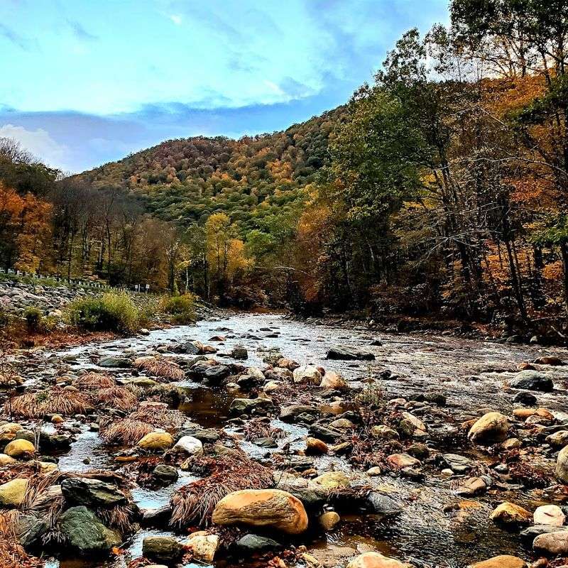 Mohawk Trail State Forest — Charlemont