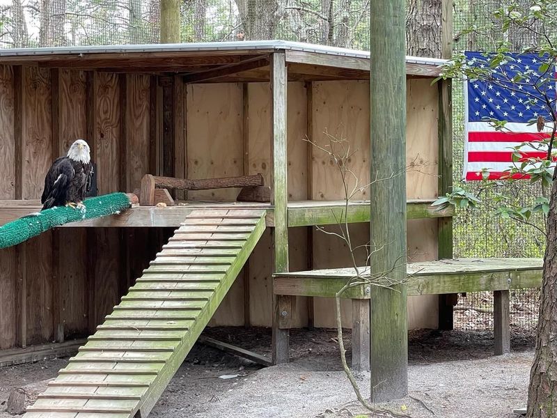 No Government Funding: How Cedar Run Stays Open