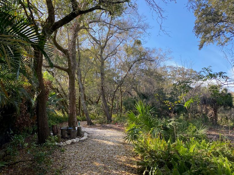 The Gravel Trail and Shaded Walking Path