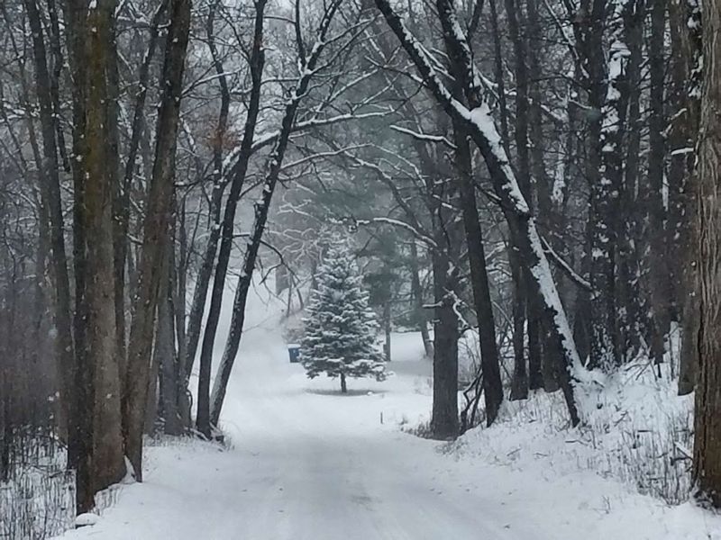 Fall and Winter at the Park Are Genuinely Underrated