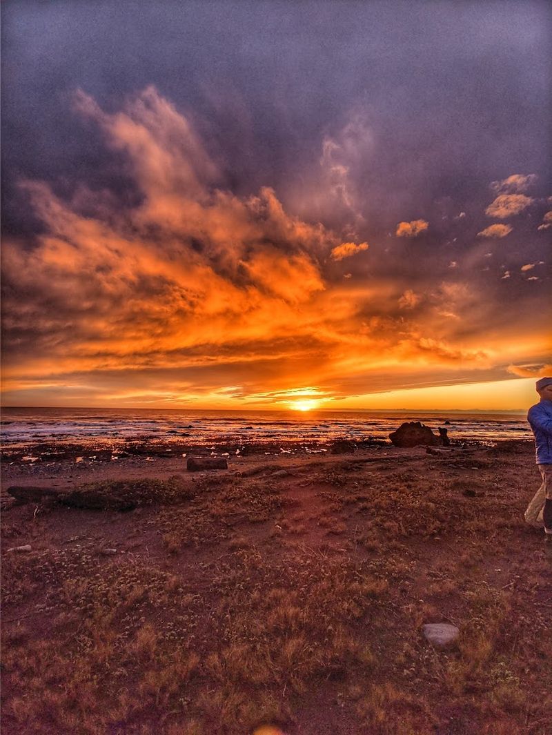 Camping Under a Sky Full of Stars