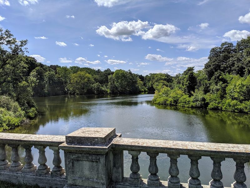 Bald Eagles and the Wildlife That Calls This Estate Home